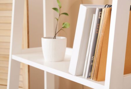 white bookshelf with plant, perfect for storing basics of bookkeeping materials