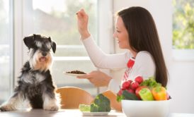 Natural Dog Whispering Pet Diet and Nutrition Training Course