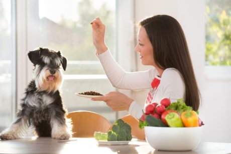 Natural Dog Whispering Pet Diet and Nutrition Training Course