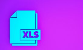 xls file logo