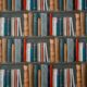 stack of multi-colored literature books