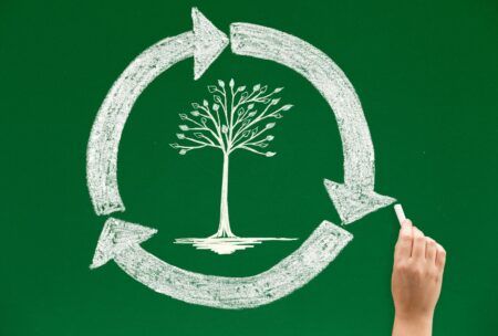 depicting a life cycle assessment course, an image shows a hand drawing a tree on a green chalkboard