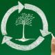 depicting a life cycle assessment course, an image shows a hand drawing a tree on a green chalkboard